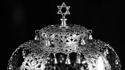 Monochrome Silver Torah Crown Macro