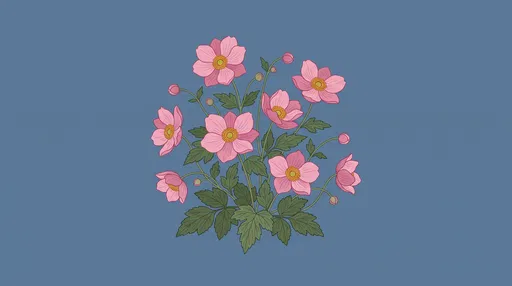 Pink Chinese Anemone Botanical Illustration