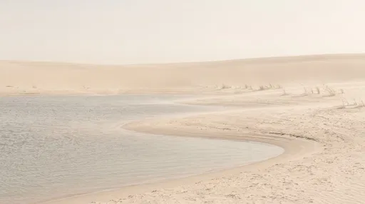 Minimalist Pale Desert Oasis Landscape