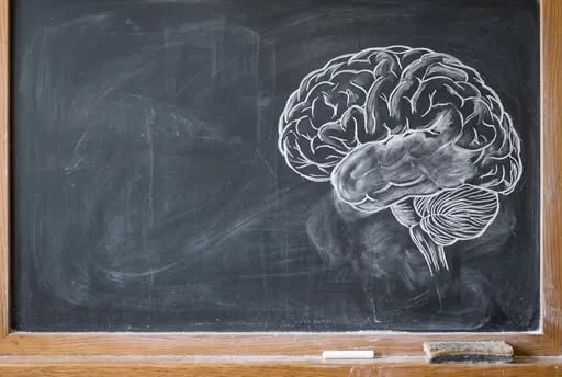 Chalk Brain Drawing on Blackboard