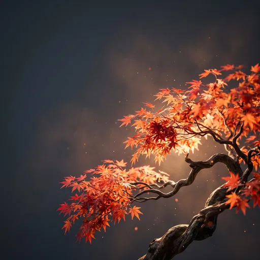 Backlit Autumn Japanese Maple Branch