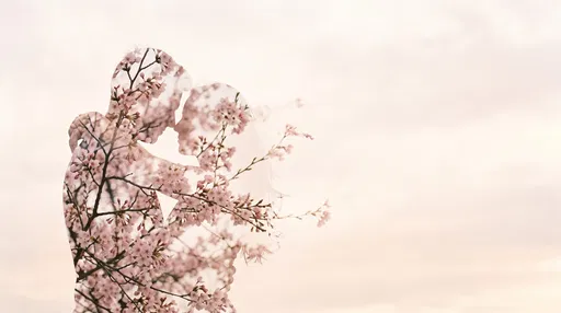 Couple Silhouette With Cherry Blossoms