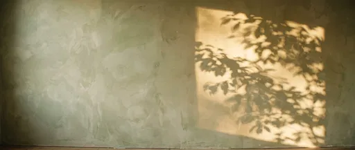 Sage Limewash Wall With Leaf Shadows