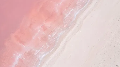 Aerial View of Pink Salt Lake