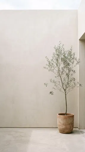 Minimalist Olive Tree in Clay Planter
