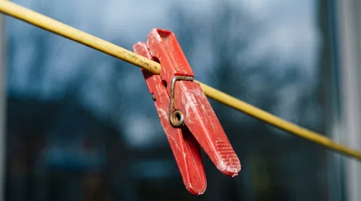 Weathered Red Plastic Peg on Line