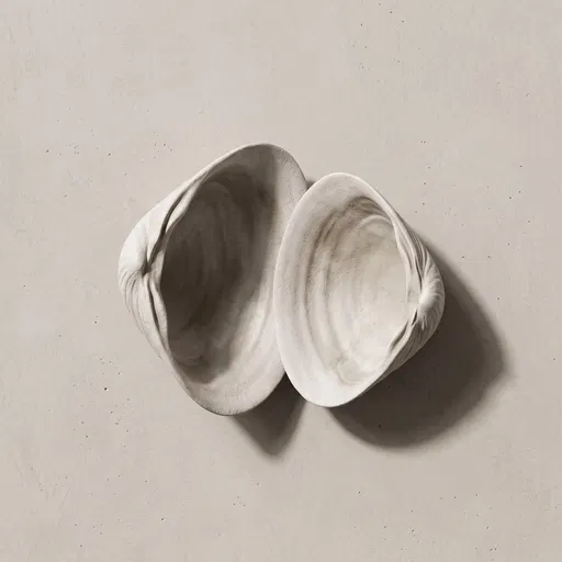 Minimalist Matte Ceramic Clamshell Halves Flat Lay
