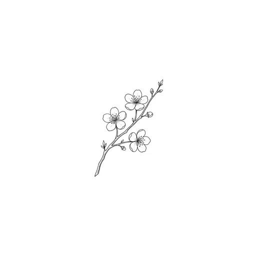 Minimalist Cherry Blossom Branch Line Art