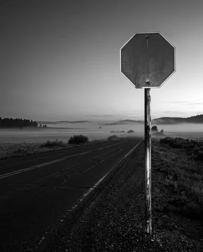 Blank Octagonal Road Sign on Misty Highway