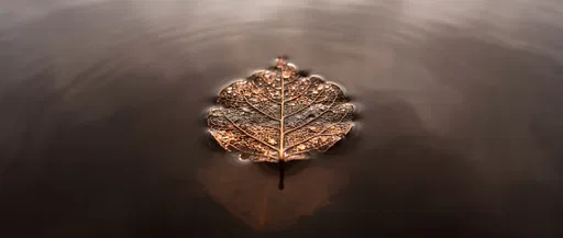 Copper Skeleton Leaf on Dark Water
