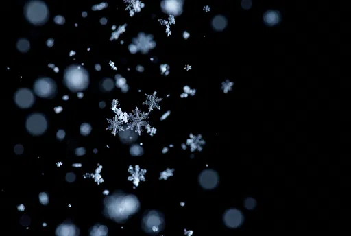 Falling Snowflakes on Black Background