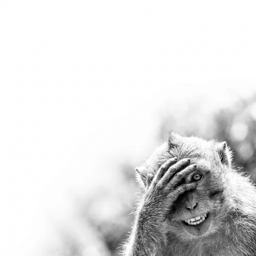 Monochrome Macaque Peeking Through Fingers