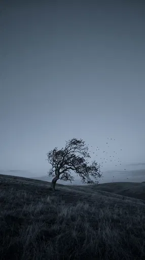 Lone Windswept Tree on Twilight Hill