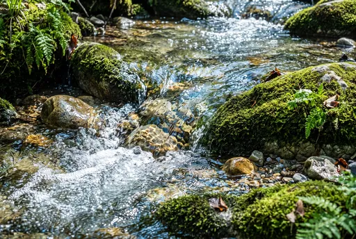 Sunlit Mountain Stream Over Mossy Stones