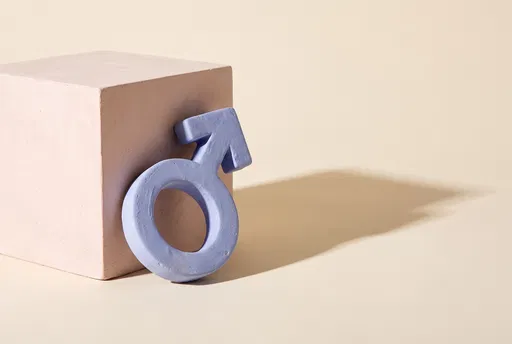 Periwinkle Plaster Male Symbol Still Life