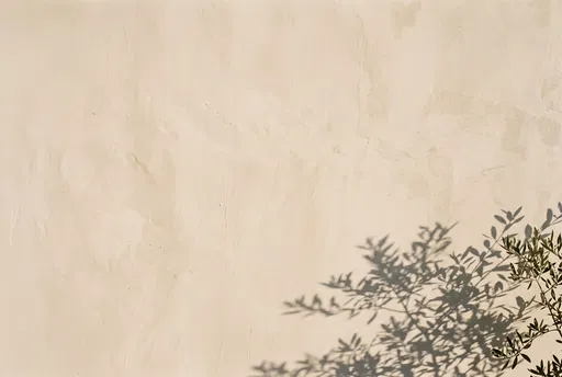 Warm Alabaster Wall With Olive Shadows