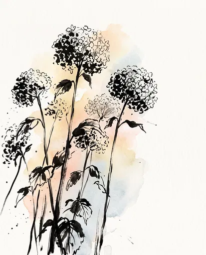 Black Ink Hydrangea Drawing with Watercolor Wash