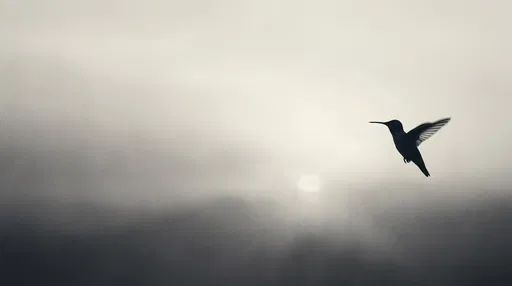 Minimalist Silhouette of Hovering Hummingbird in Mist