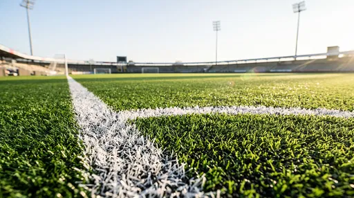 Sunlit Stadium Turf with White Boundary Lines