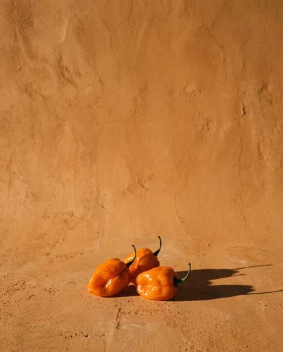 Three Orange Habanero Peppers on Ochre Surface