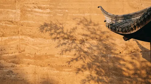 Bamboo Shadow on Rammed Earth Wall