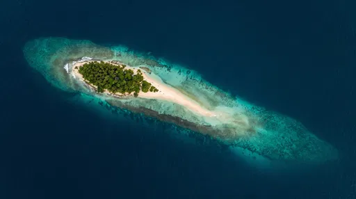 Aerial View of Tropical Sandbar Island