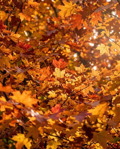 Sunlit Golden Autumn Leaves Foliage Background