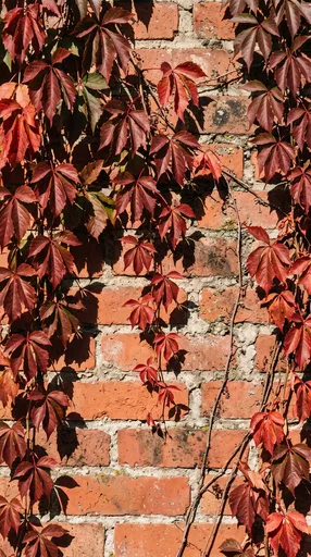 Red Autumn Vines on Brick Wall