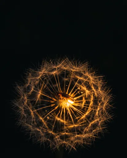 Glowing Firefly on Dandelion at Night