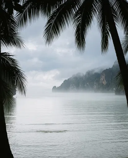 Misty Tropical Cliffs Framed by Palm Silhouettes