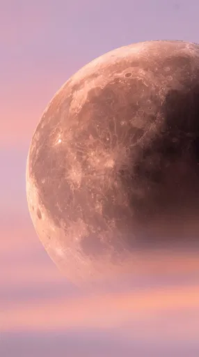 Rose Gold Lunar Eclipse at Dawn