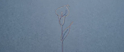 Minimalist Calla Lily Line Art