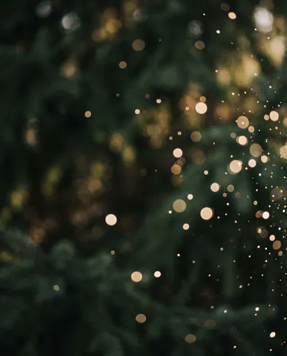Golden Bokeh Orbs Over Blurred Pine