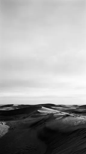 Monochrome Sand Dunes Under Expansive Sky