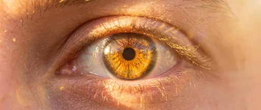Macro Close-Up of Golden Amber Eye