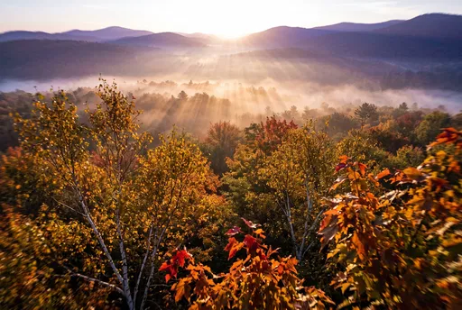 Misty Autumn Valley Sunrise Over Foliage