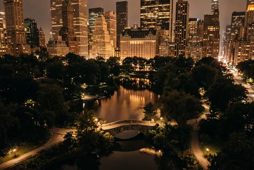 Aerial View of Central Park Bridge at Night