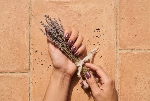 Manicured Hands Holding Dried Lavender Bundle