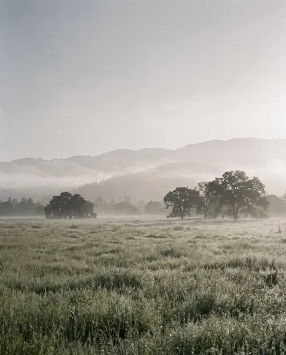 Misty Morning Meadow and Distant Mountains