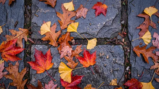 Autumn Leaves on Wet Paving Stones