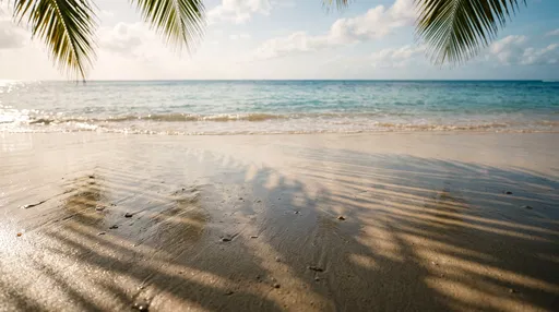 Wet Beach Sand With Palm Shadows