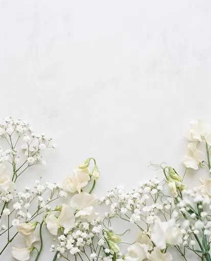 White Baby's Breath and Sweet Pea Border