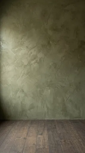 Olive Venetian Plaster Studio Backdrop
