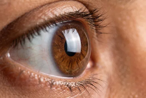 Macro Close-Up of Brown Human Eye