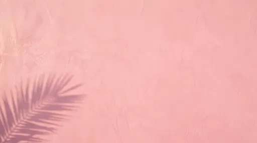 Pink Plaster Wall With Palm Shadow
