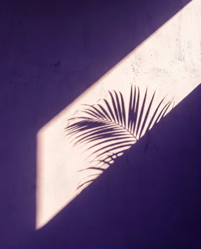 Palm Frond Shadow on Purple Wall