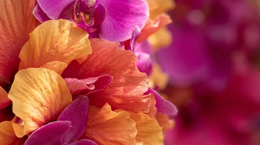 Macro Tropical Hibiscus and Orchid Petals