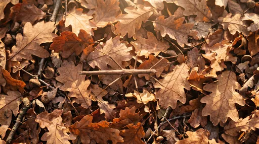 Stick Insect Camouflaged on Autumn Leaves