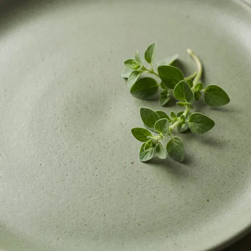 Fresh Oregano Sprig on Sage Plate
