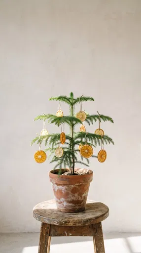 Small Pine Tree With Citrus Ornaments